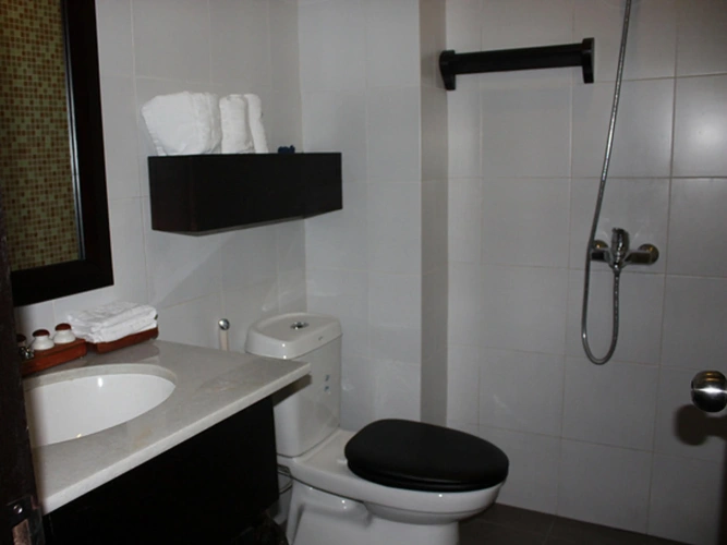 Deluxe Double room with balcony and with city view
