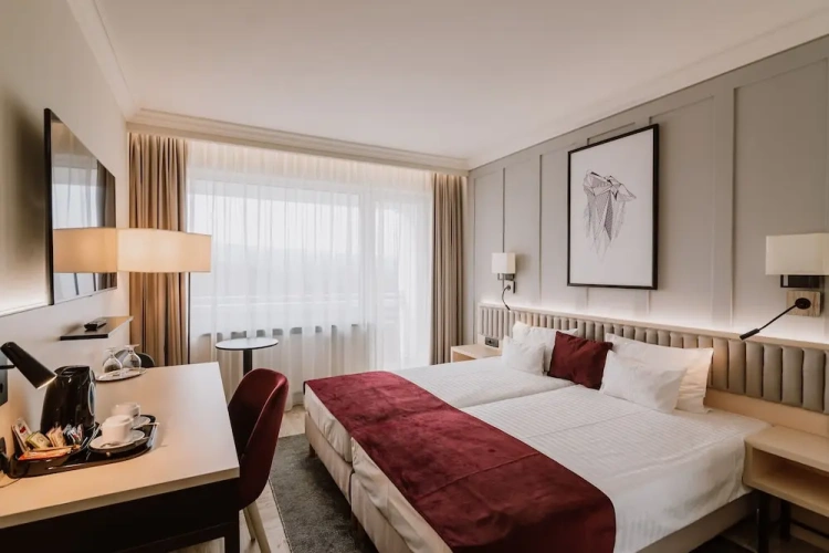 Deluxe Plus Twin room