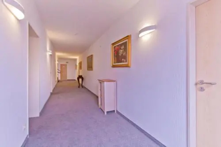 Hotel Chicos