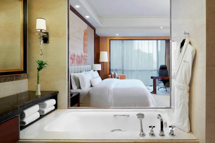 Standard Double room with city view