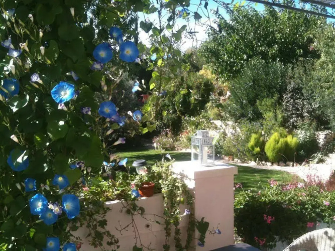 Le Clos du Jas