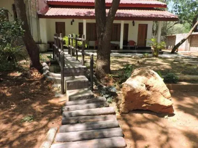 Teak Forest @ Kataragama