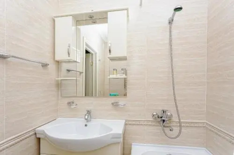 Luxury apartment Spring 3