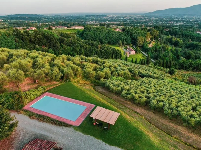 Standard Villa
