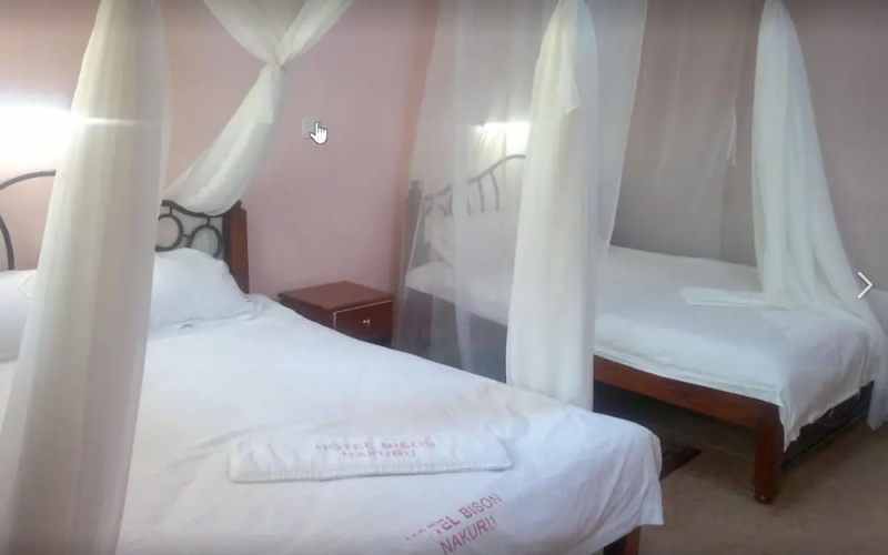 Hotel Bison
