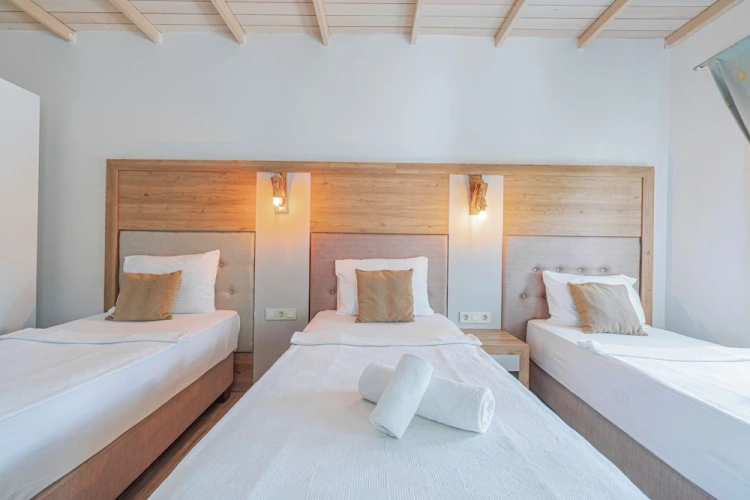 Superior Triple room with balcony and with garden view