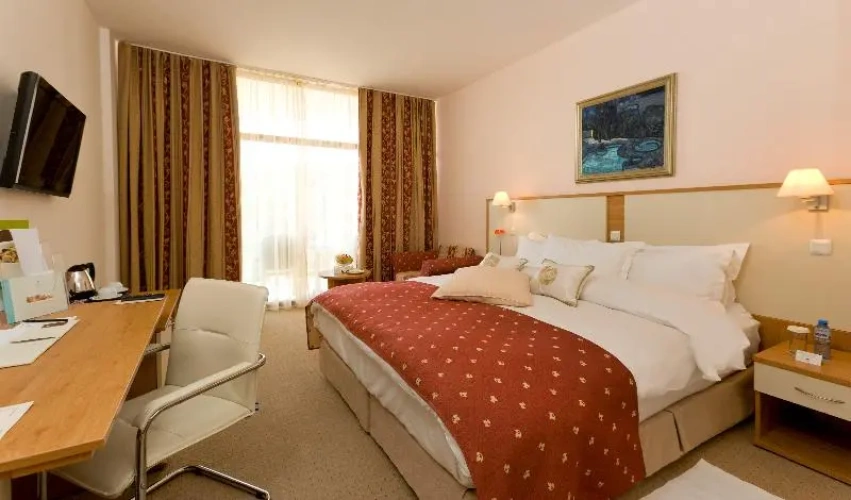 Standard Double room with sea view