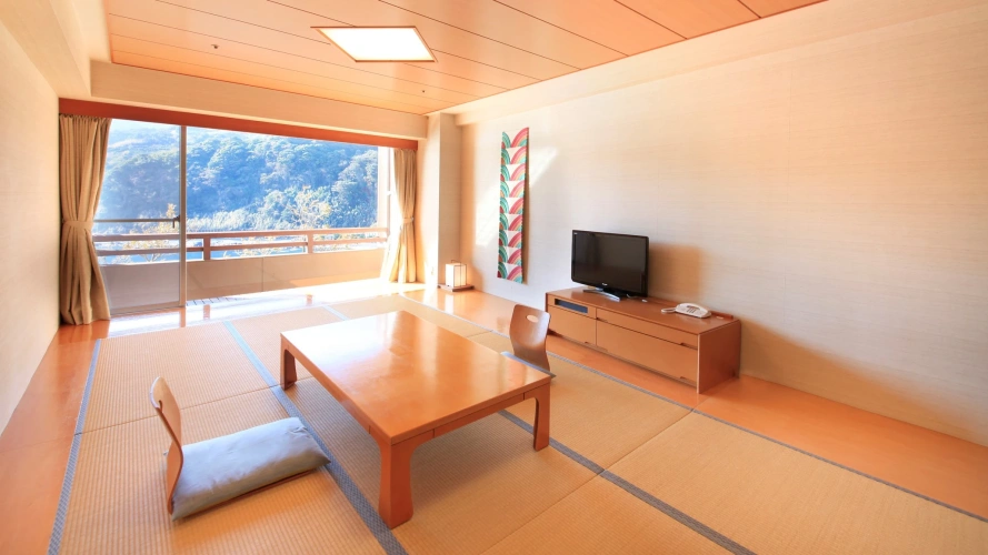 Standard Double room with ocean view