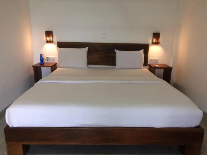 Standard Double room with mountain view