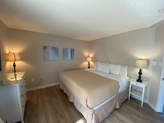 1 Bedroom Standard room with balcony and with ocean view