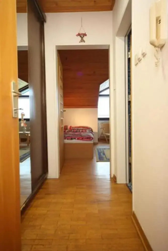 Apartment Viki
