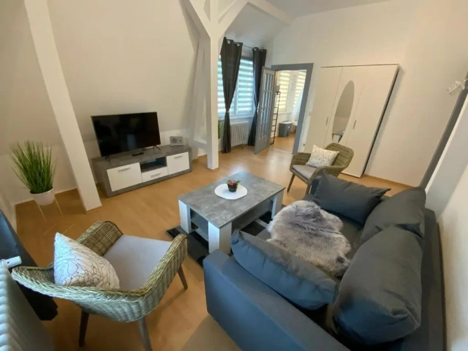 Penthouse Apartment