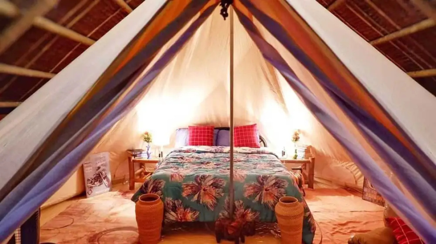 Eco-Treehouse Glamping Services