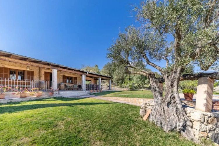 Selva-3834 Mallorca