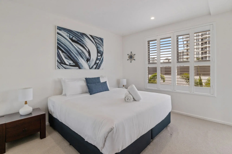 Verve on Cotton Tree
