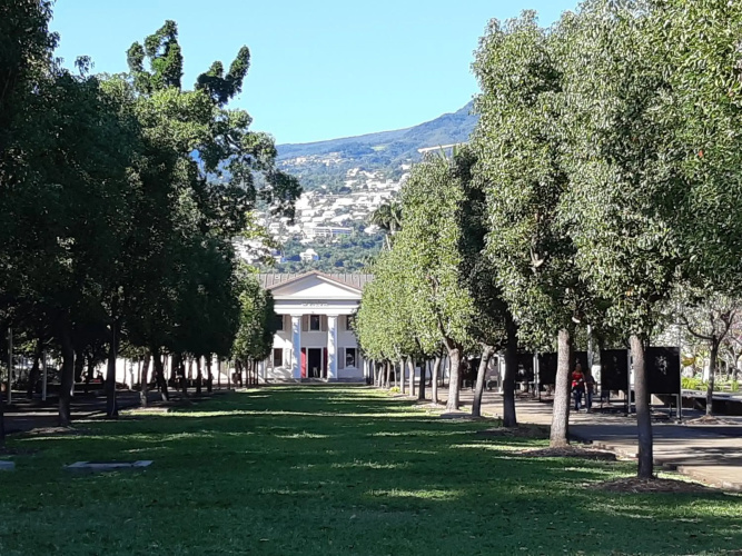 L'escale des Palmiers