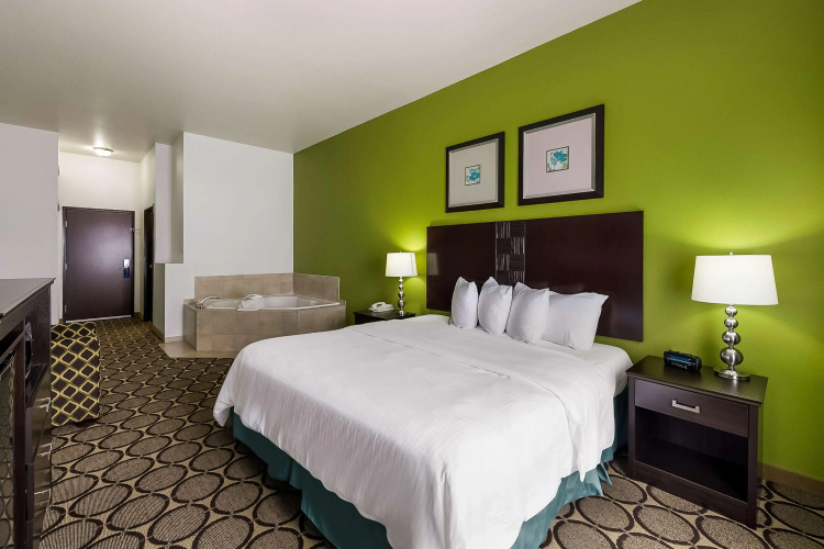 Best Western Douglas Inn & Suites