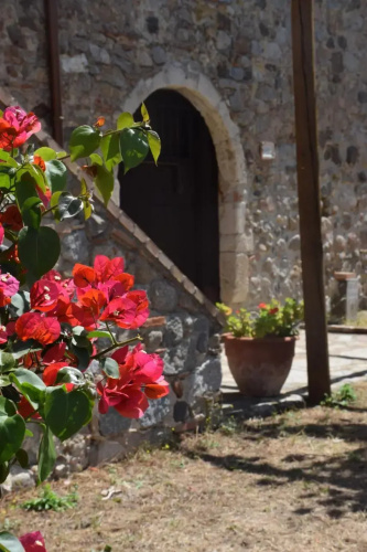 Agriturismo Fellino
