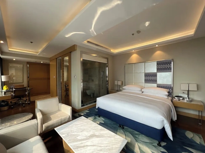 Double Junior Suite with city view