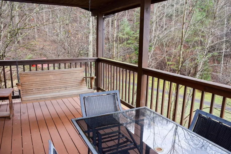 BEAR HINEY HANGOUT - 2 Br Cabin