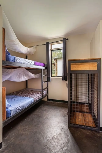 Bed in Dorm