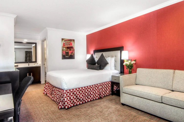 Standard Double room