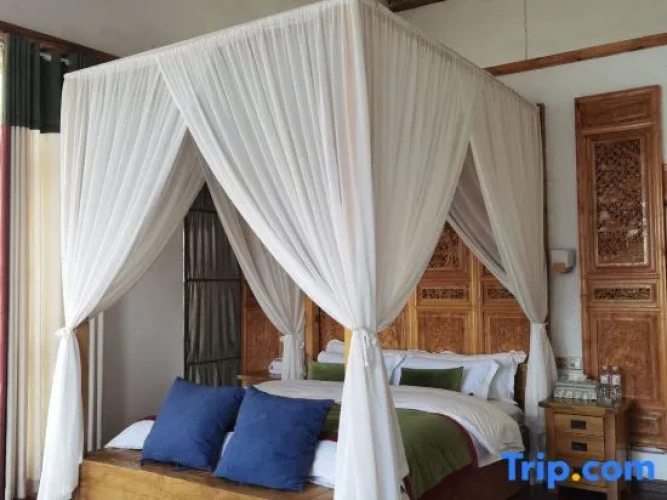 1 Bedroom Premium Suite