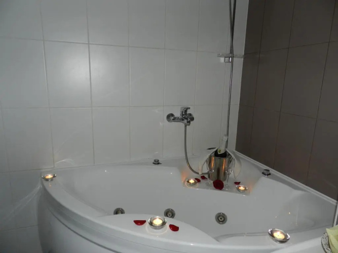 Hotel Metsis