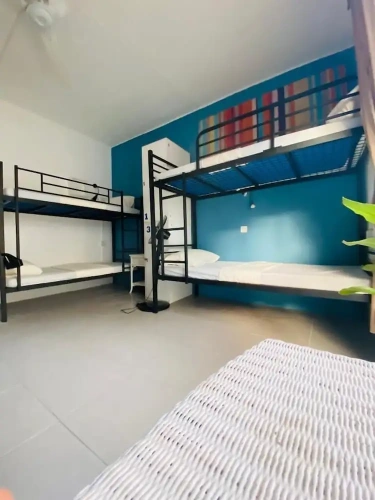 Bed in Dorm