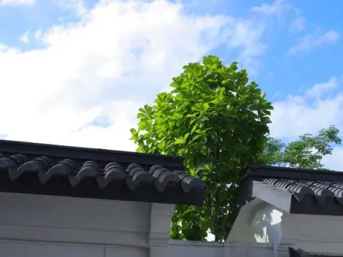 Lanfan Tingshan B&B