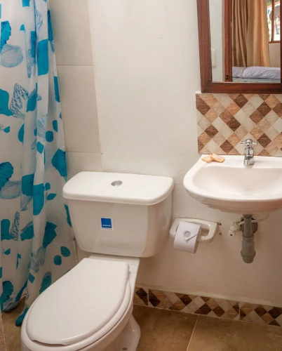 Hostal Apapachoa - Hostel