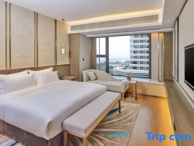Double Family Suite