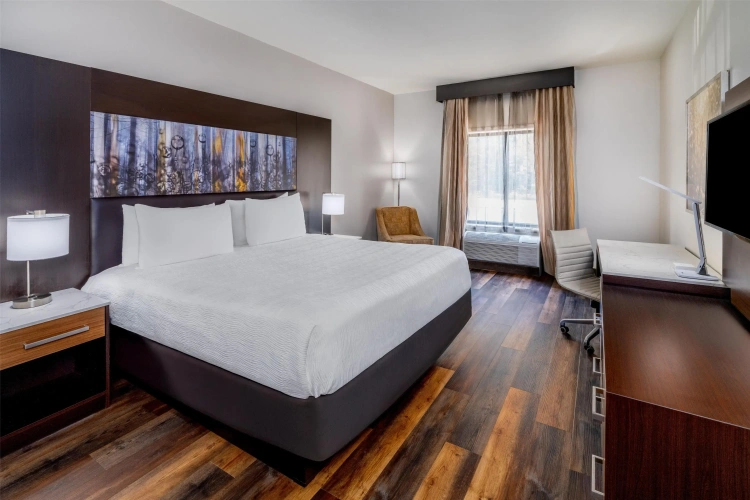 Standard Double room