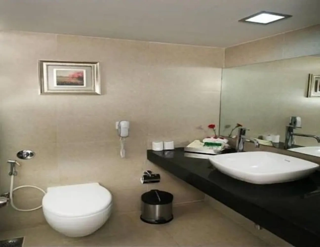 Standard Double Club room