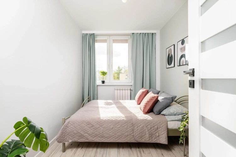 Avocado Apartment