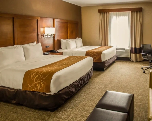 Twin Suite