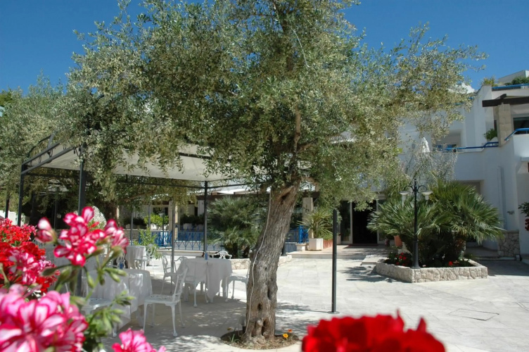 Hotel Selenia Residence