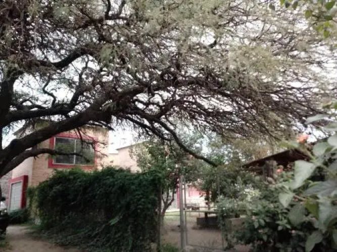 Cabañas Diquecito