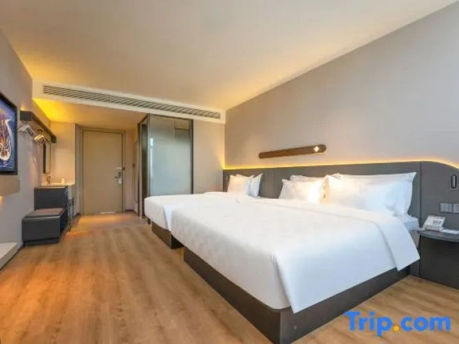 Standard Single Suite
