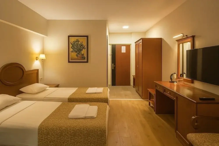 Standard Double room with balcony and with view