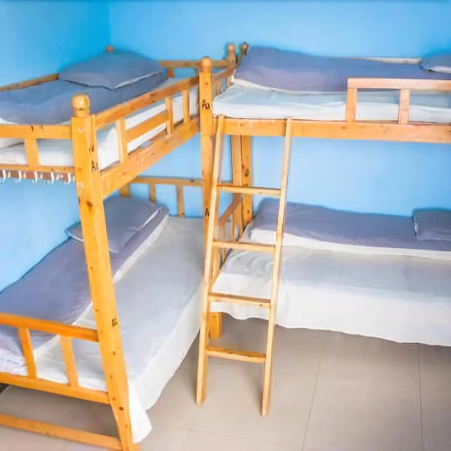 Time Flies Hostel