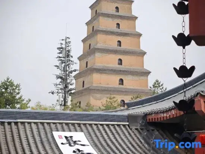 Hermitage Pagoda View Courtyard Hotel