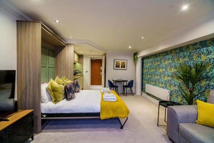 Deluxe Apartment