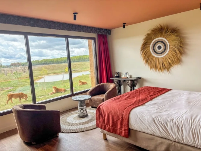 Superior Double room with park view