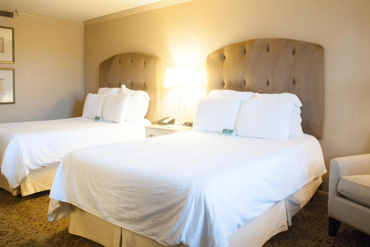 Dauphine Orleans Hotel photo 6
