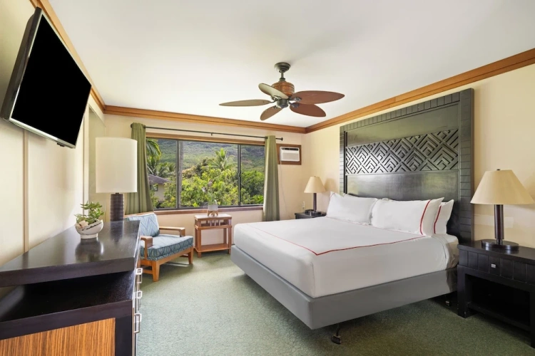 Deluxe Double room with mountain view
