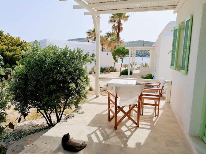 Standard Double room with garden view