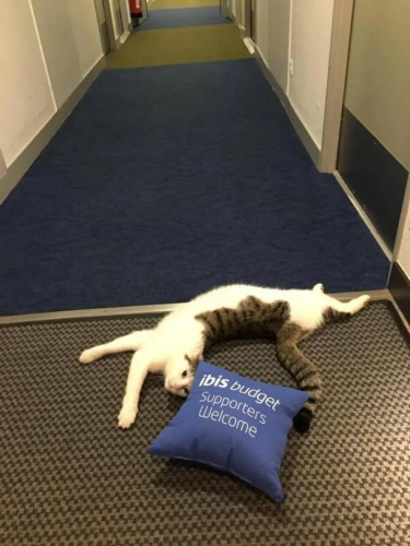 ibis budget Fécamp