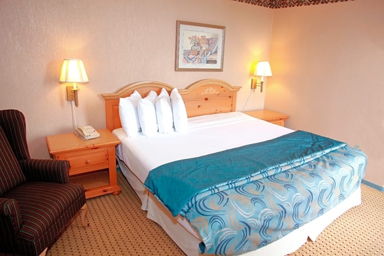 Standard Double Suite