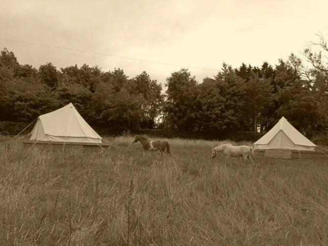 Tent